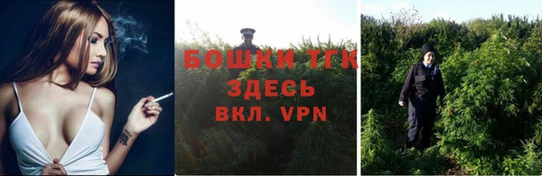 стафф Дмитровск