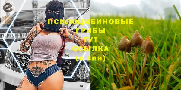 стафф Дмитровск