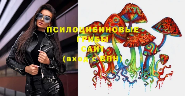 гашиш Дмитров