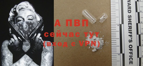 стафф Дмитровск