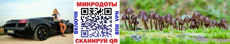 Купить  Иланский  Галлюциногенные грибы MAGIC MUSHROOMS 